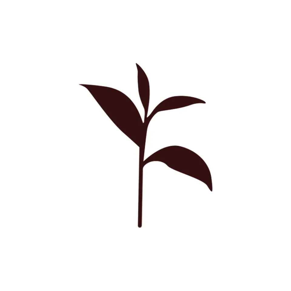 Decaffeinated tea