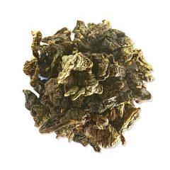 Milk Oolong