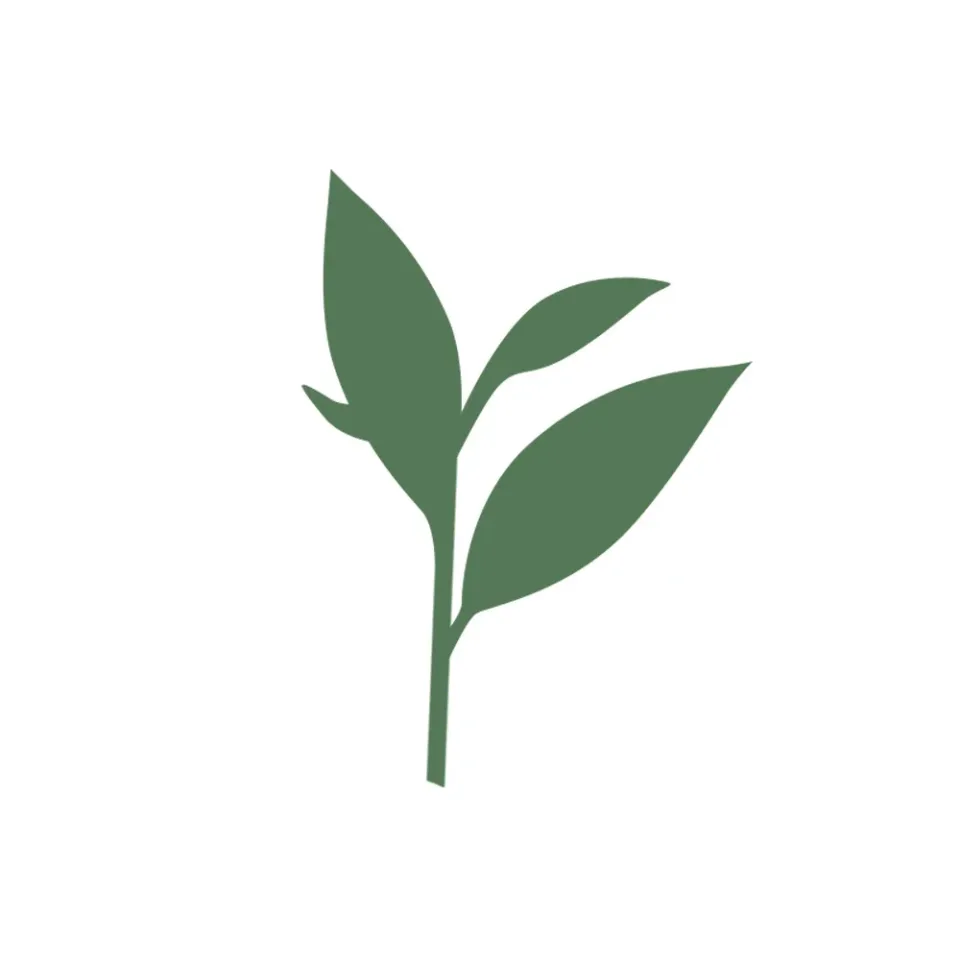 Oolong tea