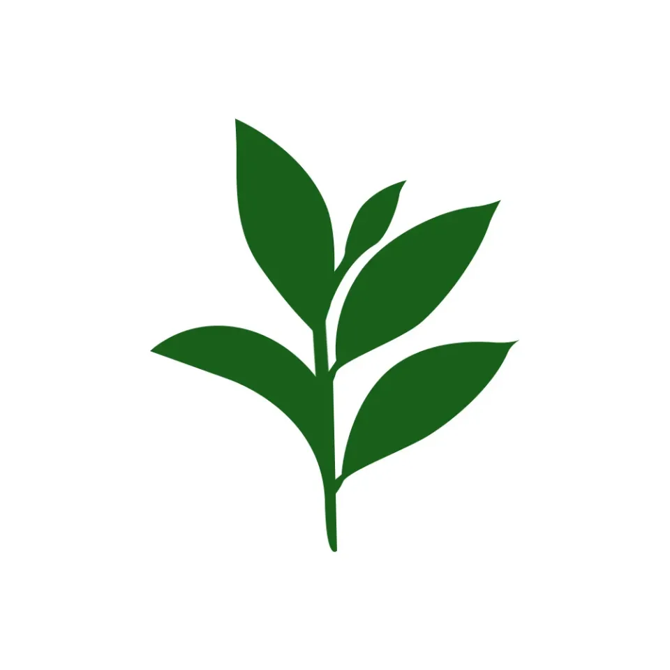 Organic tea