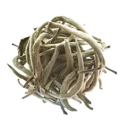 Silver Needle Tea