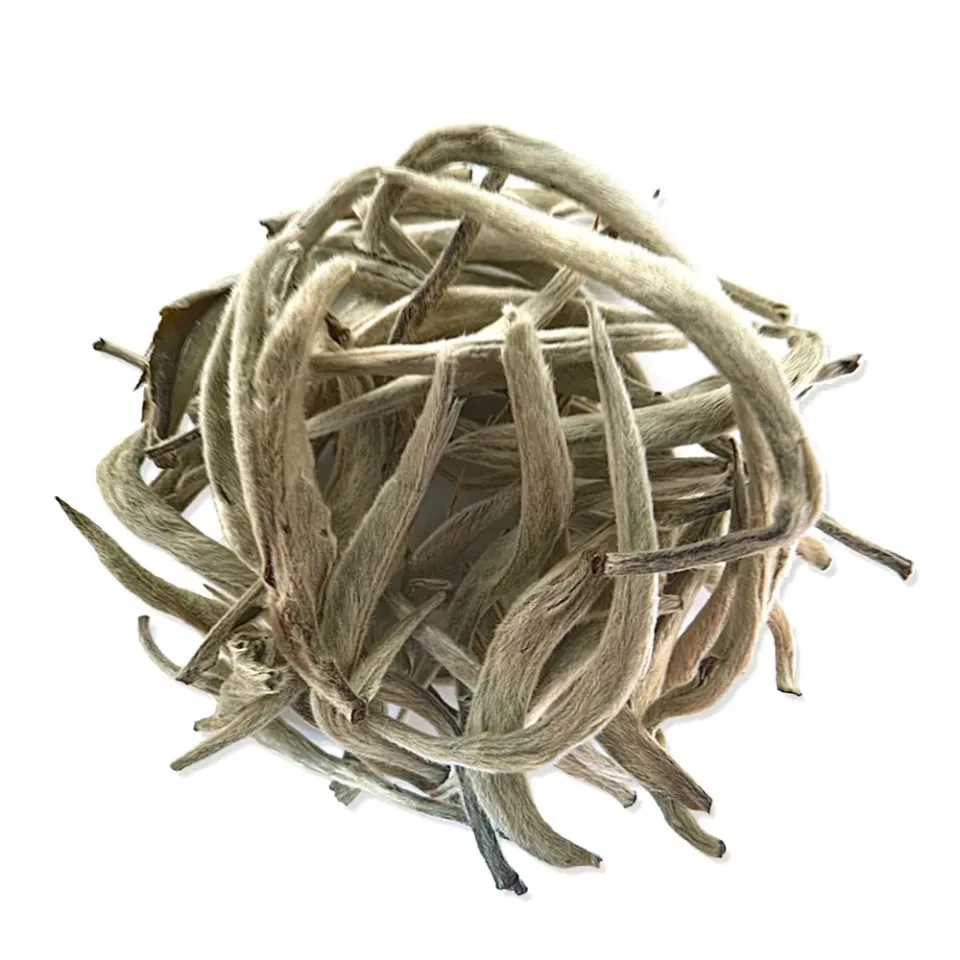 Silver Needle Tea