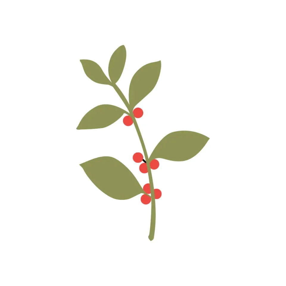 Yerba mate tea